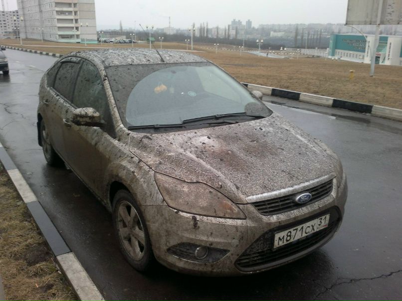 Дмитрий Курзаев Cергеевич | Рязань