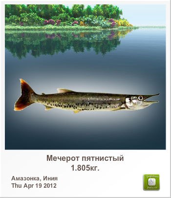 Дмитрий Беликов treeton | 