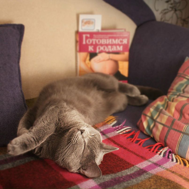 Любовь Харько or LOVE | Минск