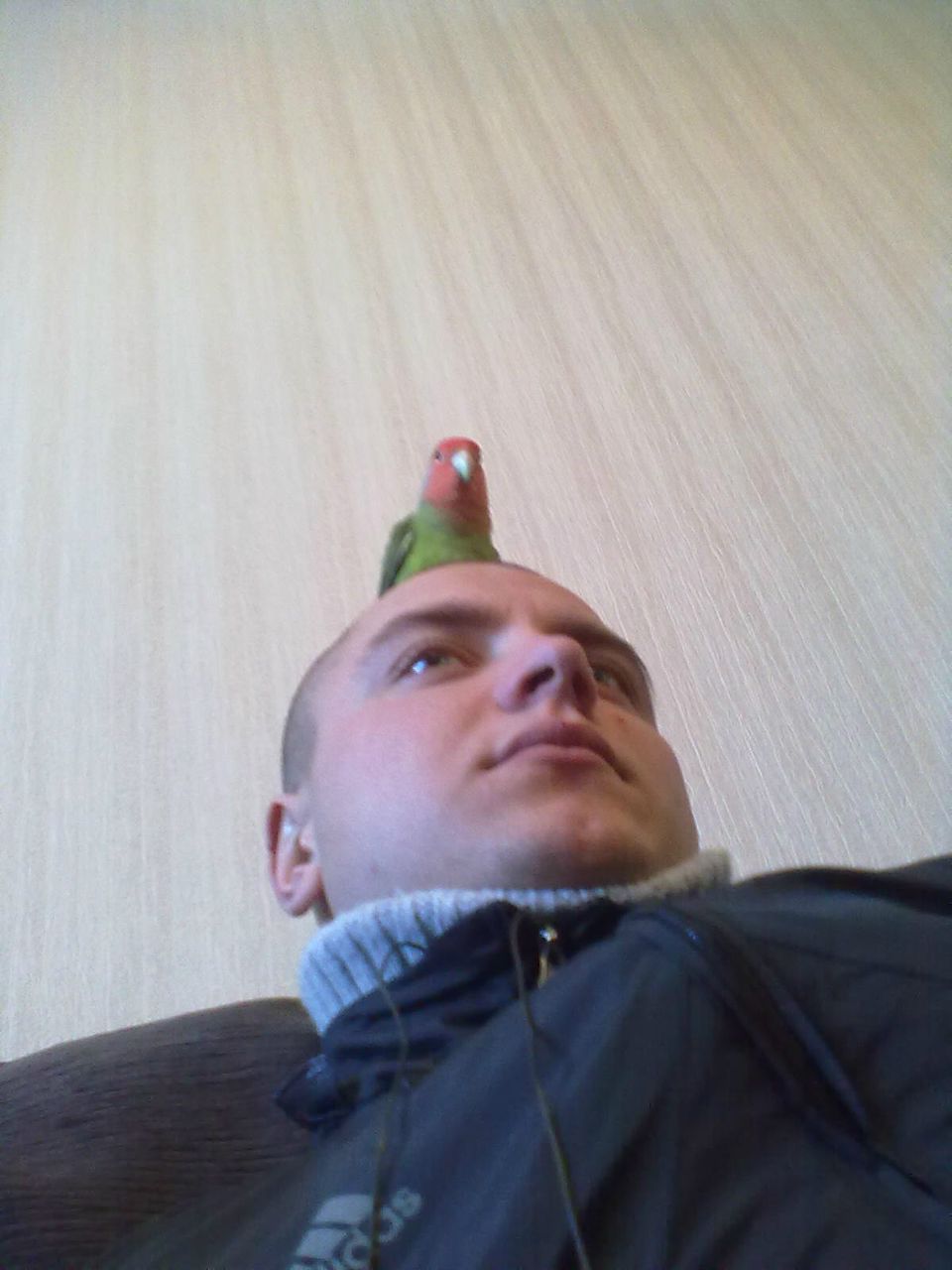 Дима Страдомский | Кривой Рог