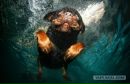 №19 Алеся Атаева : профиль, фото, статус - ВКонтакте