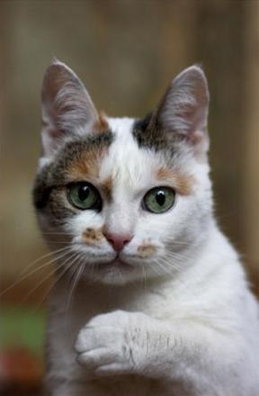 Богдан Сакк der0b | Одесса