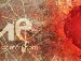 Игорь Зобов Cherep | Гомель