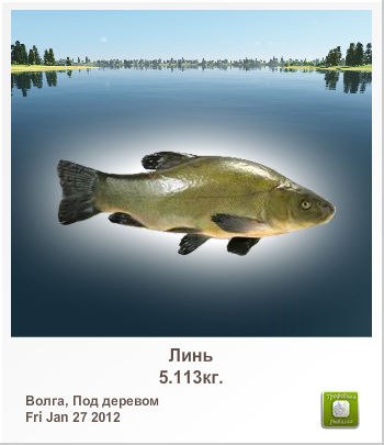 Максим Димитров | Новосибирск