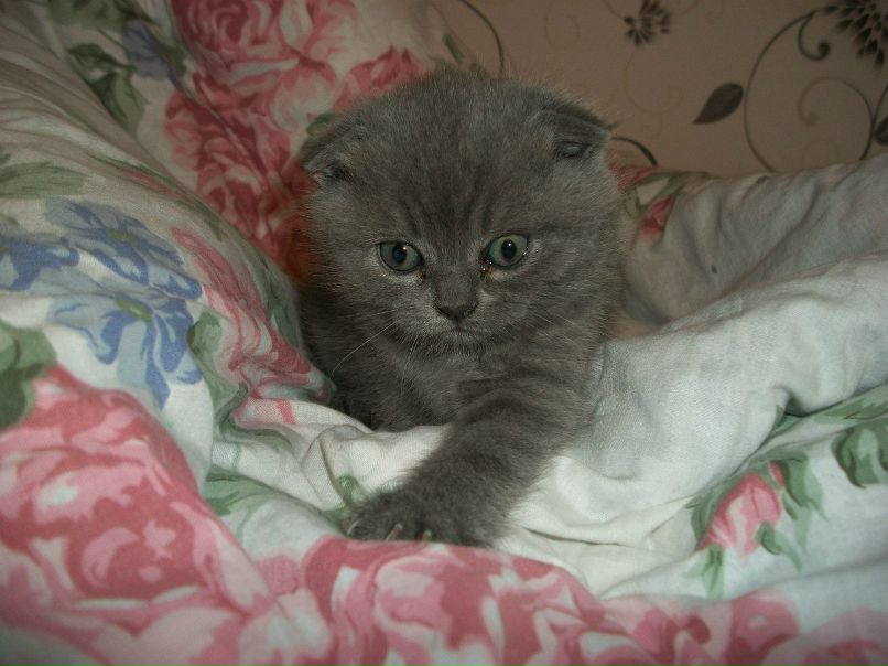 Виктория Белебеха | Лисичанск