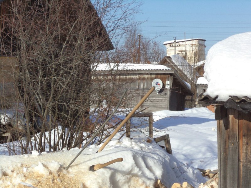 Роман Цуркану *ТуТ ОтЧЕеСтвО* | Сыктывкар