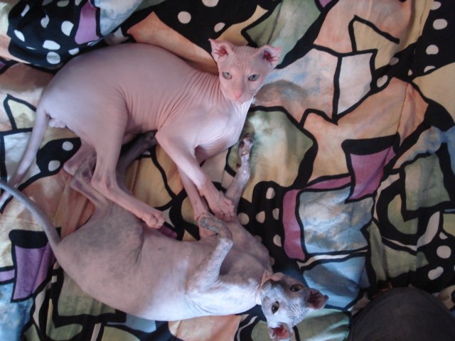 Людмилка Хорольская | Санкт-Петербург