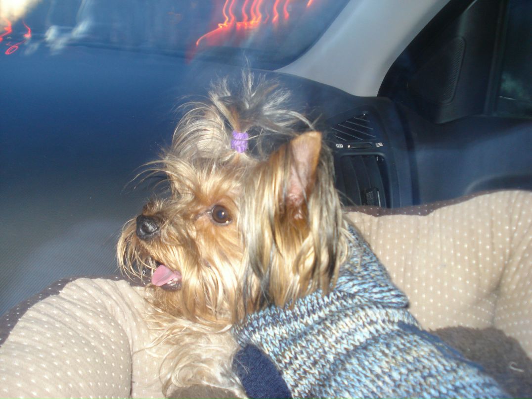 Катенька Жданова | Москва