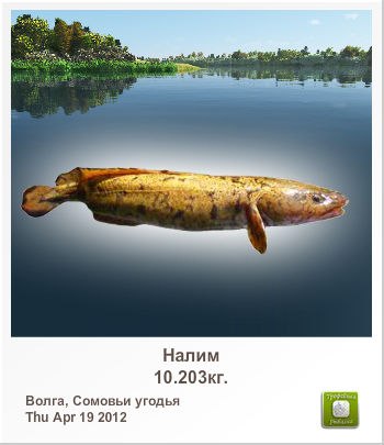 Сергей Лисин | Киев