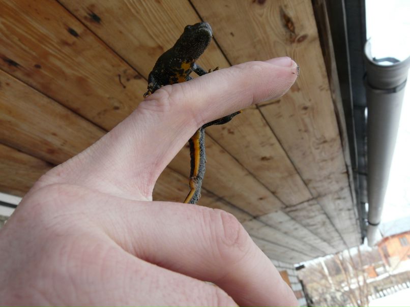 Сергей Трофимов | Чебоксары