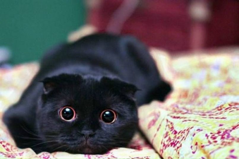 Артем Левандовский | Вологда