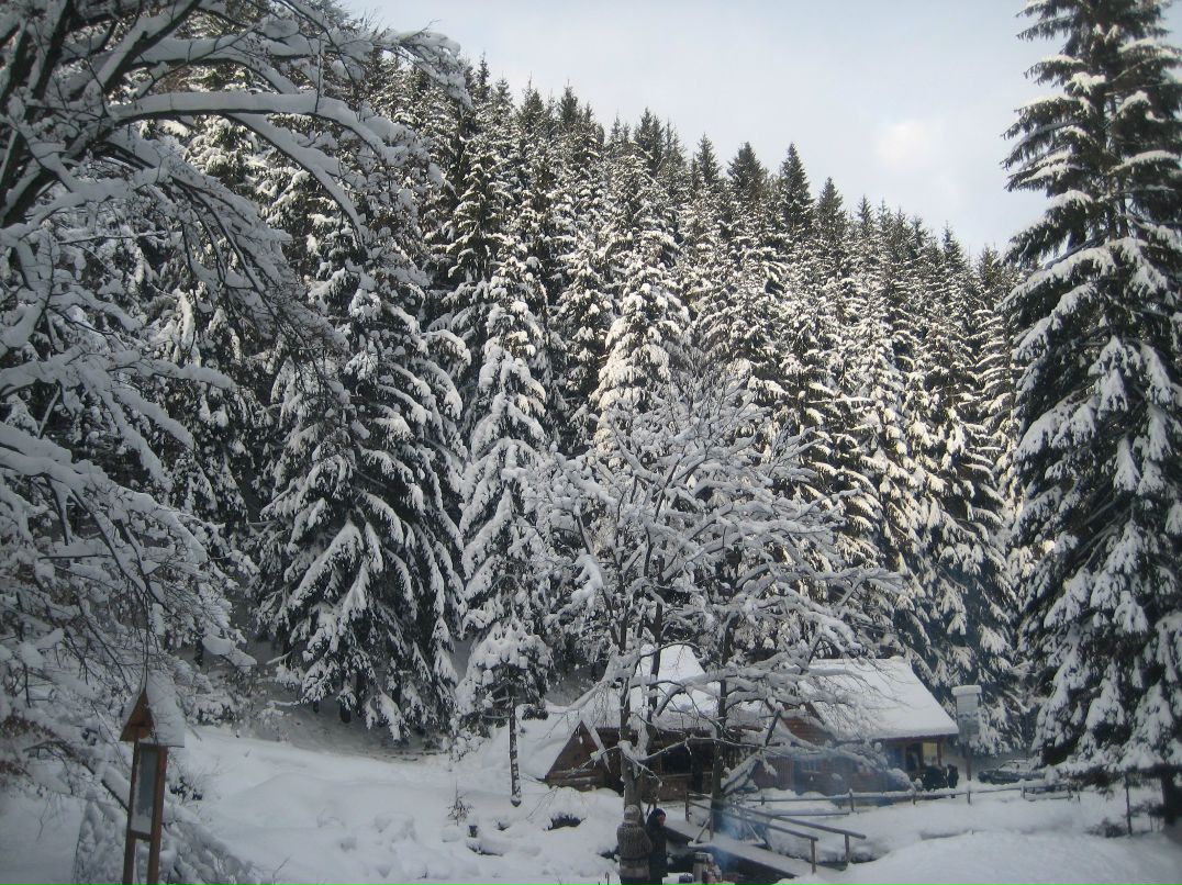 Віктор Русин viktorovuch | Берегово