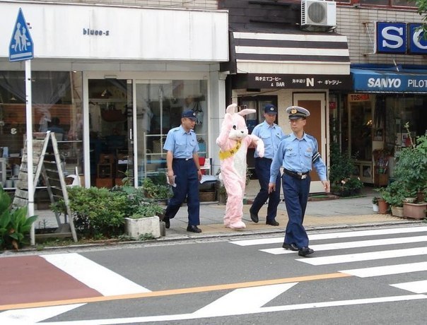 Дмитрий Захаров | Маяк