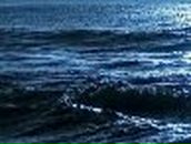 Анна Куга ♥ | Киев