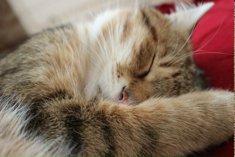 Александра Кречко •°♥๑*-‘๑’- | Минск