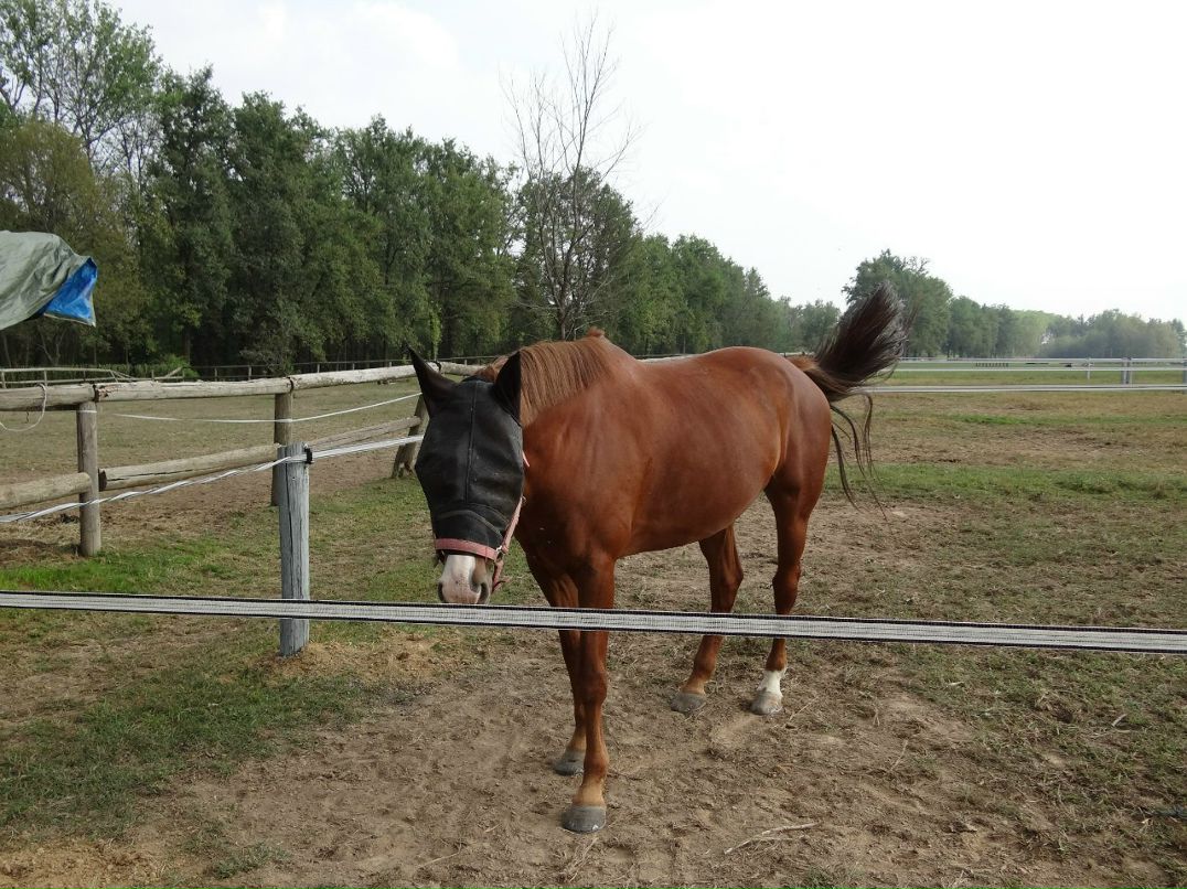 Светлана Трофимова | Санкт-Петербург