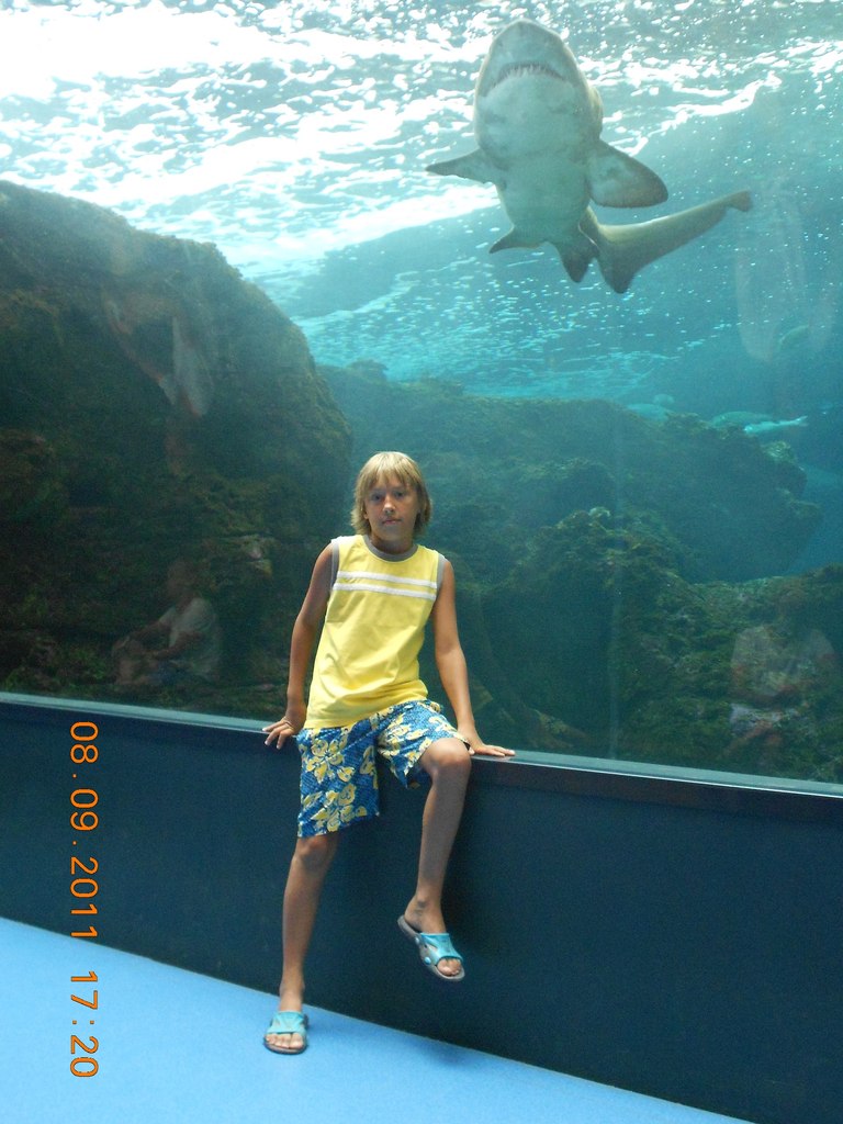 Богдан Тарасенко (^_^) | 