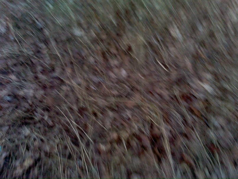 Виктория Дмитриева | Санкт-Петербург