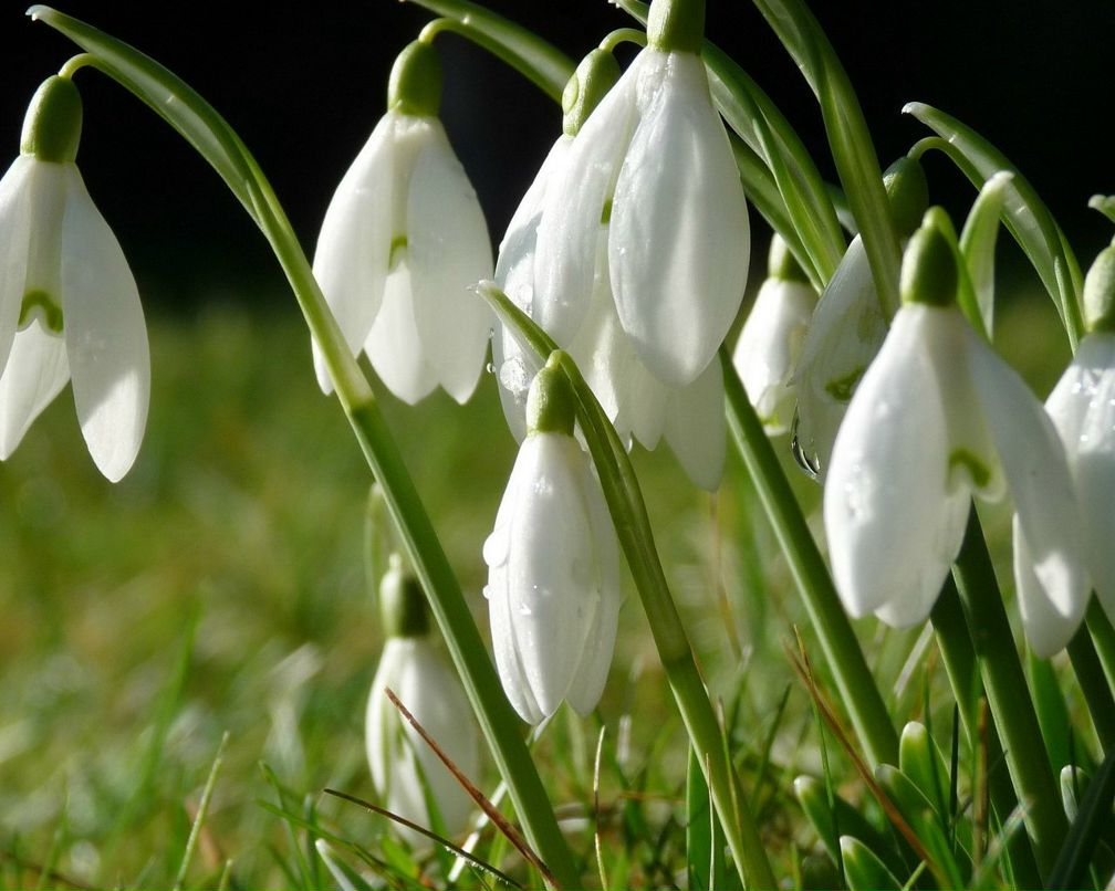 Ленчик Никульченкова | Петрозаводск