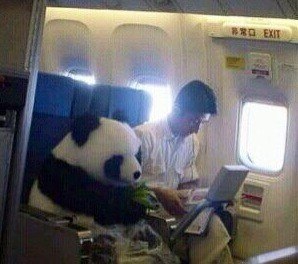 Маша Мицци | Москва