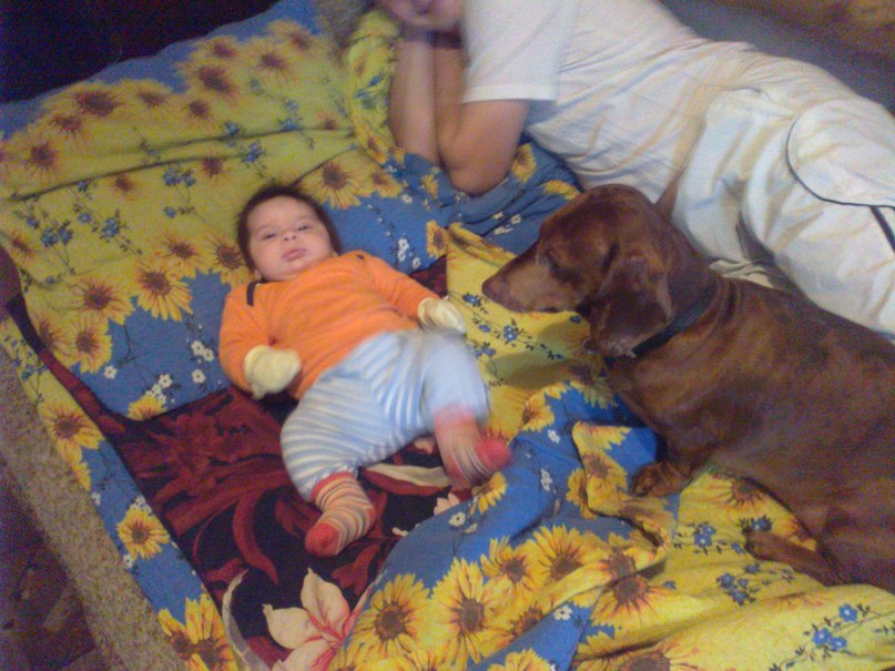 Карина Глазова Вячеславовна | Щекино