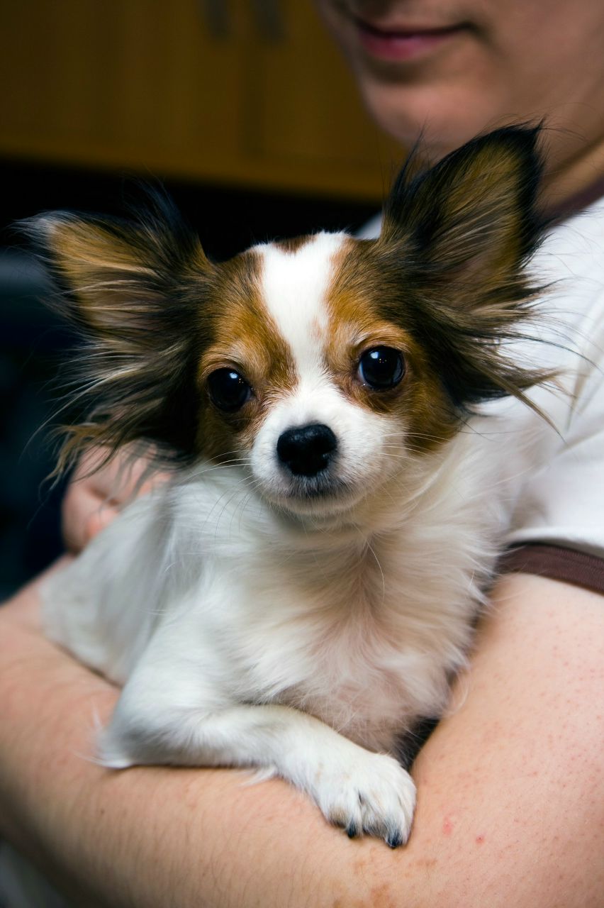 Наташа Помелова | Москва