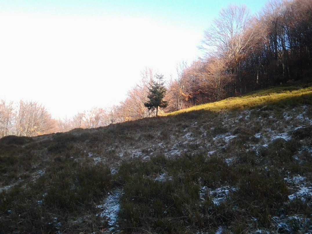 Леся Лаговська | Радомышль