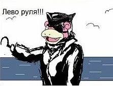 Станислав Шарипов | Сыктывкар