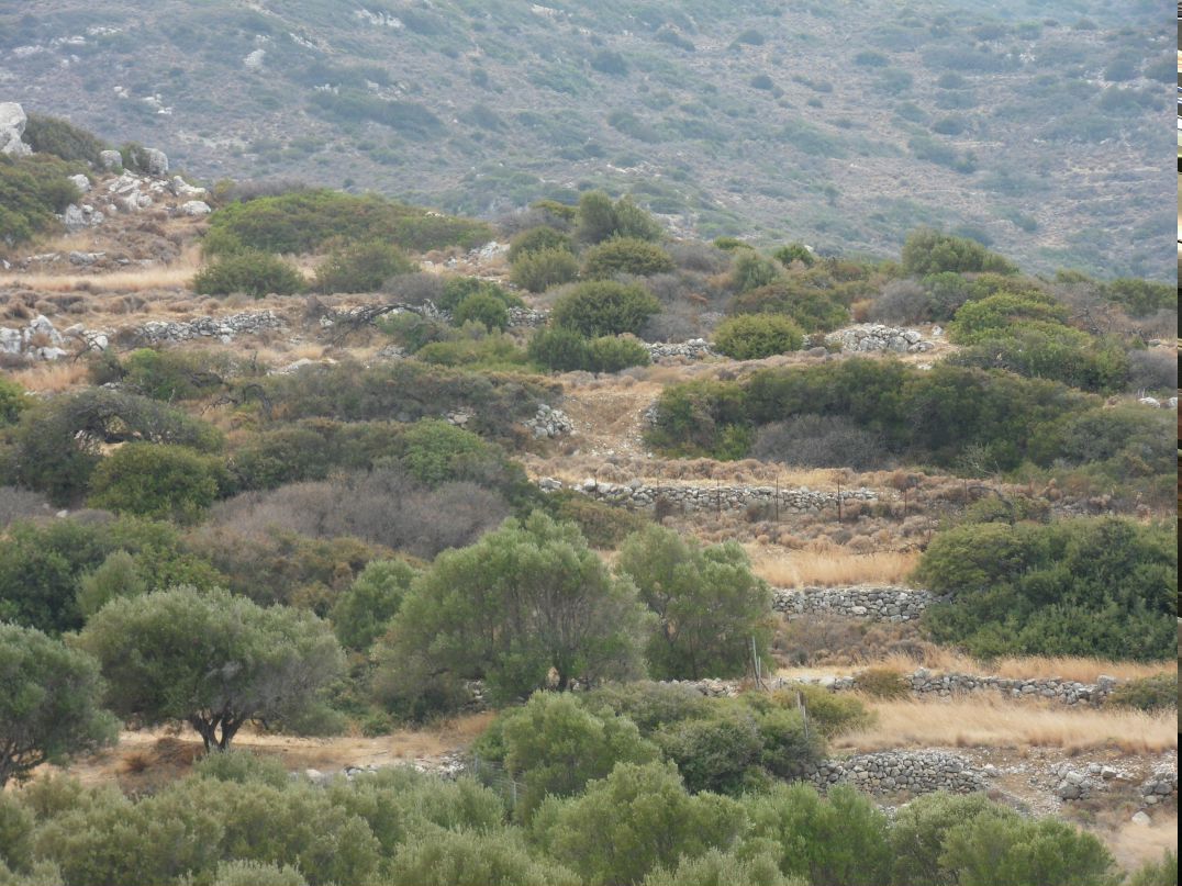 Лена Асеева | Санкт-Петербург