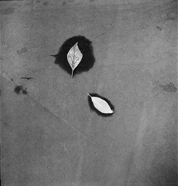 №71, Дмитрий Булгаков, 40 лет, Москва №71, Дмитрий Булгаков, 40 лет, Москва