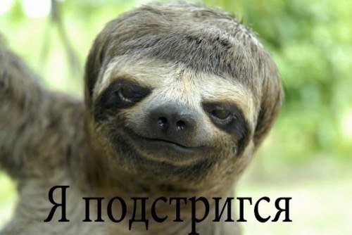 Infected Virus | Кривой Рог