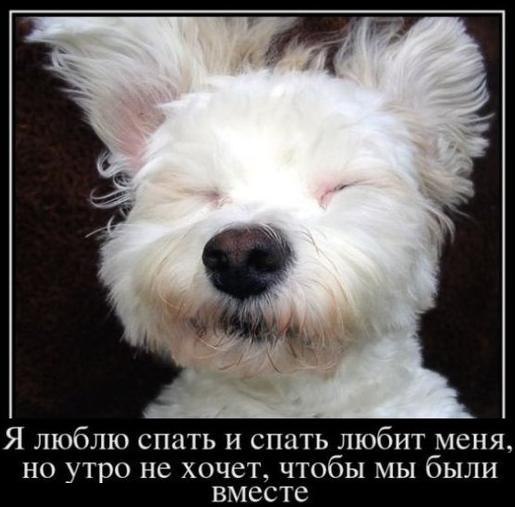 Анастасия Корогод | 