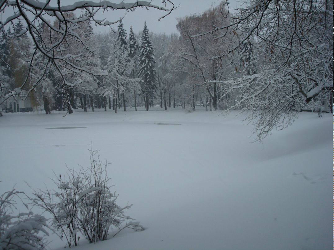 Олег Лукашик | Киев