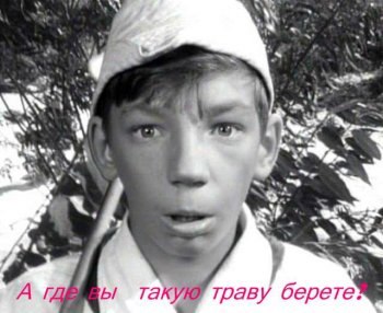 Алексей Дудин | Санкт-Петербург