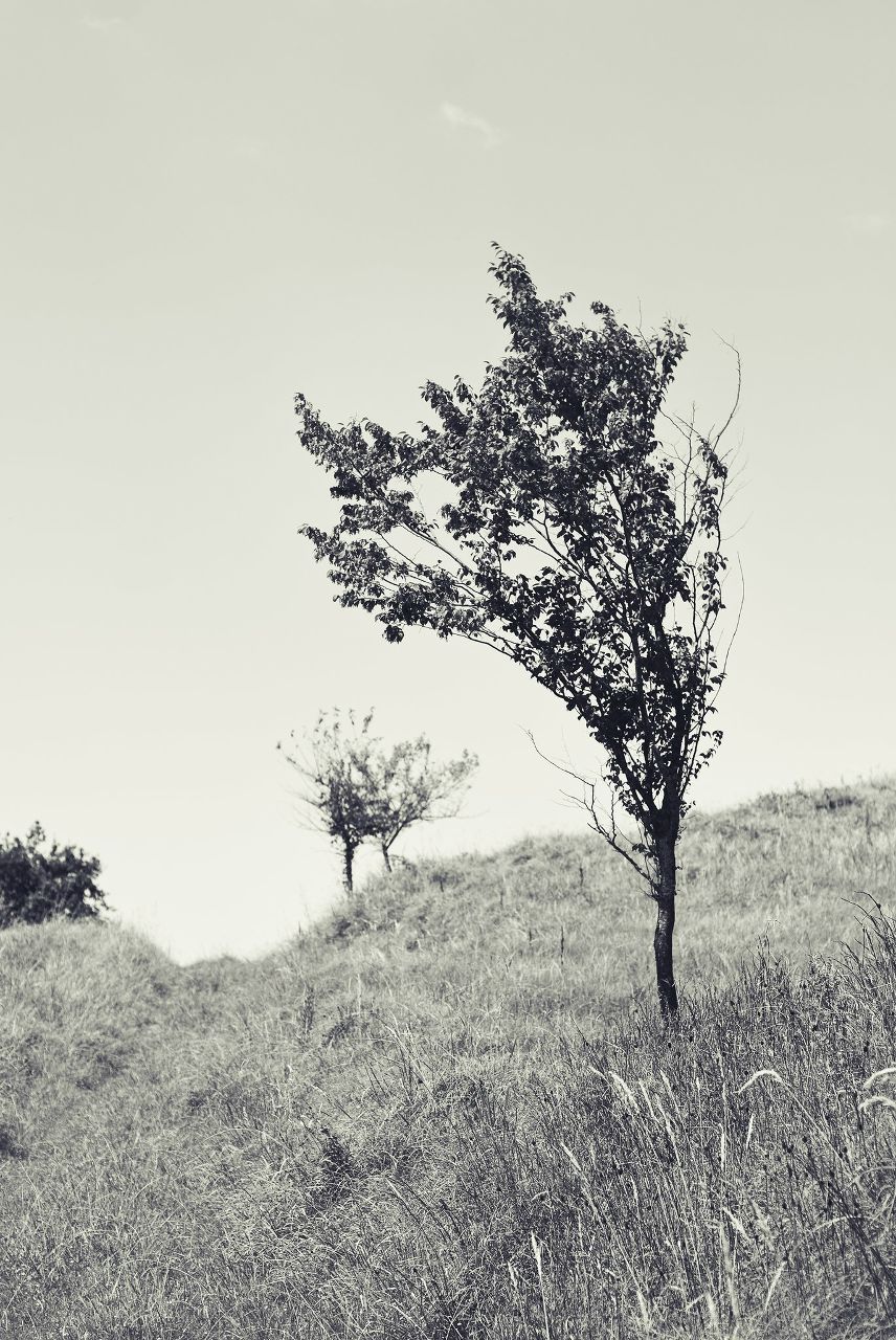 Алексей Ивченко Asmodeus | Сочи