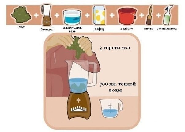 Марина Нерсесова | Санкт-Петербург