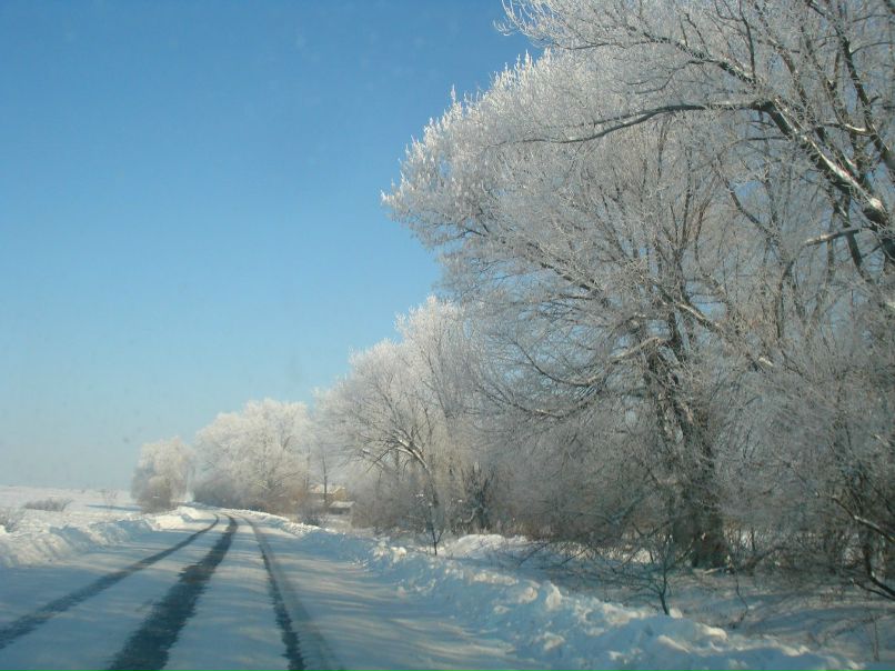 Танюшка Власюк | Бердичев