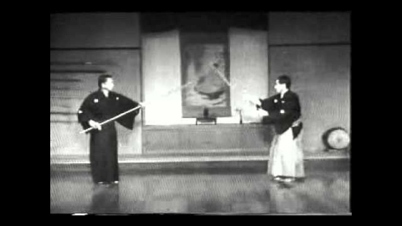 Hyoho nitten ichi ryu