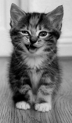 Руслан Штейн, Россия, Москва