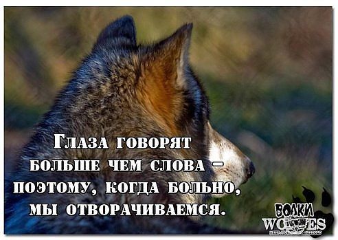 Елена Андреева, Россия, Новокузнецк