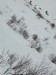 Анютка Чук фотография #36 (источник - https://vk.com/id3818717)