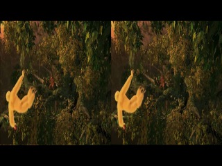 Sony Demo Borneo3 D half SBS горизонтальная