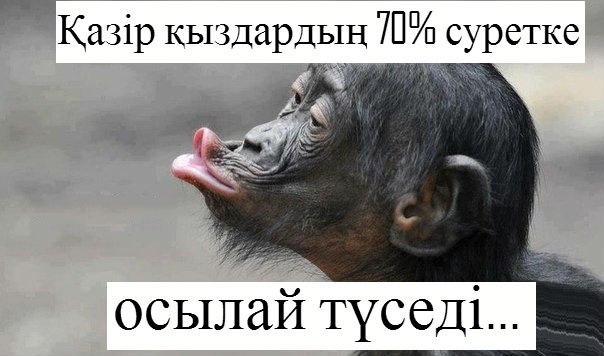 Днем, картинки прикольные казакша