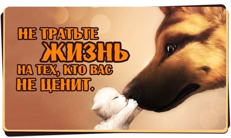 Днем, поучительные картинки с надписями