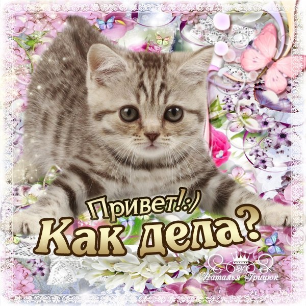 Газовику, открытки привет как дела прикольные девушке