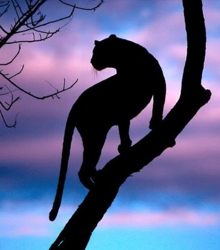 Ирина Антонова, Россия, Москва