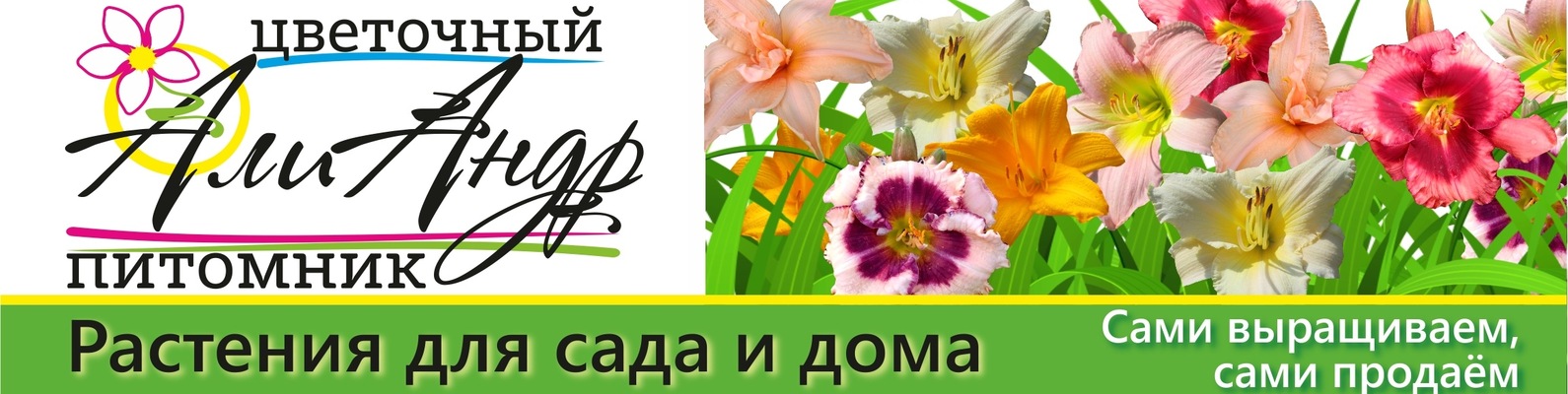 Фейерверк Цветов Интернет Магазин
