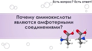 Почему аминокислоты являются амфотерными соединениями? [15]