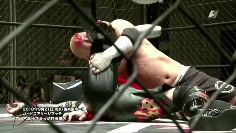 DDT BASARA 78 Luyang No