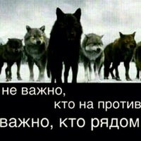 Рамазан Магомедов